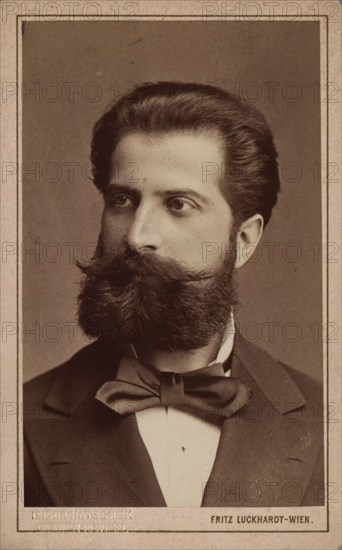 Portrait of the conductor and composer Willhelm Gericke (1845-1925), c. 1870. Creator: Luckhardt, Fritz (1843-1894).