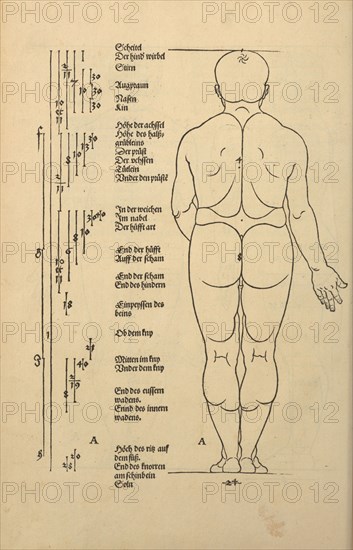 Illustration from the Four Books on Human Proportion, 1528. Creator: Dürer, Albrecht (1471-1528).