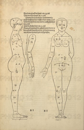 Illustration from the Four Books on Human Proportion, 1528. Creator: Dürer, Albrecht (1471-1528).