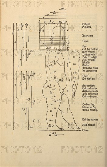 Illustration from the Four Books on Human Proportion, 1528. Creator: Dürer, Albrecht (1471-1528).