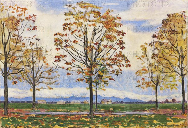 Chestnut avenue near Biberist, 1898. Creator: Hodler, Ferdinand (1853-1918).