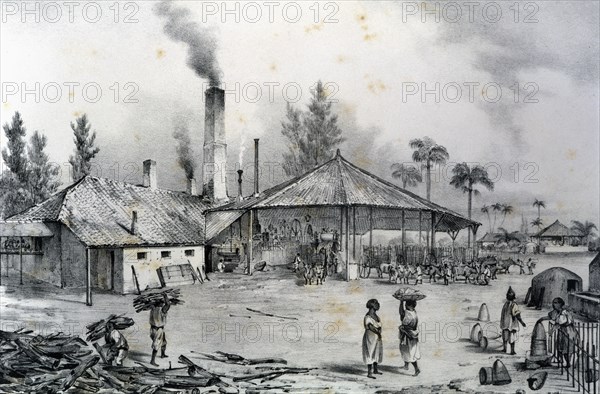 Trapiche de un ingenio during the grinding of sugar cane, 1840. Creator: Mialhe, Federico (1810-1881).