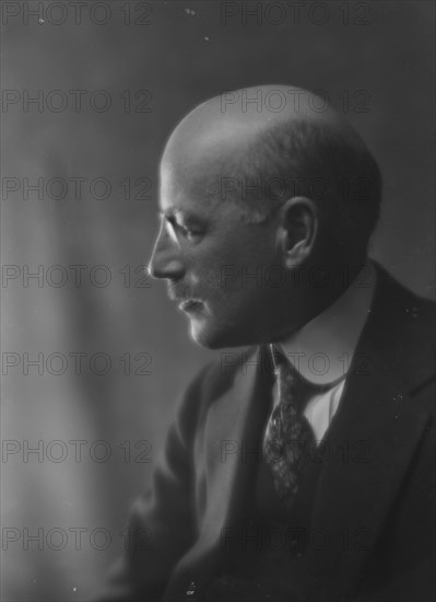 Johnson, F.C., Mr., portrait photograph, 1916. Creator: Arnold Genthe.