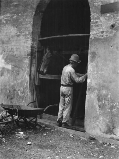 Man and horse in stall, New Orleans or Charleston, South Carolina, between 1920 and 1926. Creator: Arnold Genthe.