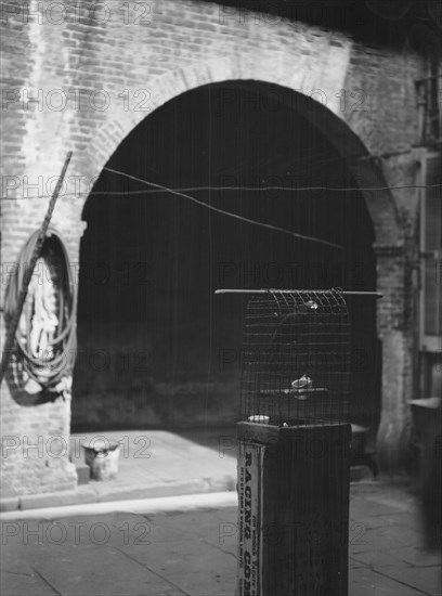 Courtyard, New Orleans, between 1920 and 1926. Creator: Arnold Genthe.