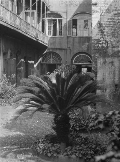 Courtyard, New Orleans, between 1920 and 1926. Creator: Arnold Genthe.