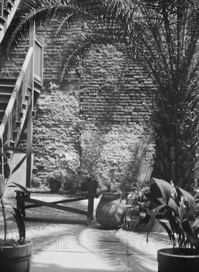 Palm courtyard, New Orleans, between 1920 and 1926. Creator: Arnold Genthe.