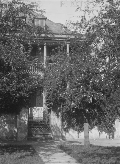 Multi-story house behind trees, [George Eveleigh House, 39 Church Street], Charleston..., c1920-1926 Creator: Arnold Genthe.