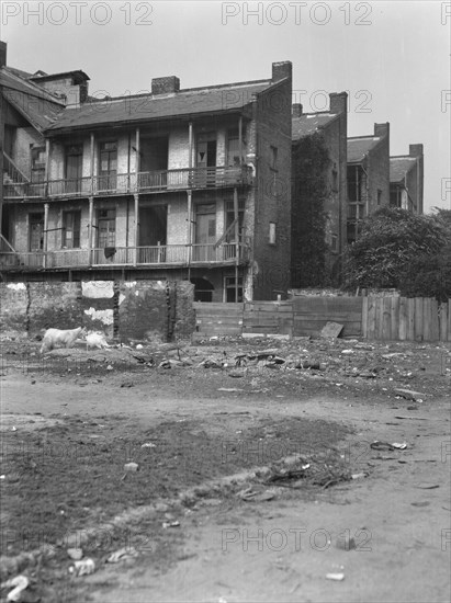 Service wings, New Orleans, between 1920 and 1926. Creator: Arnold Genthe.