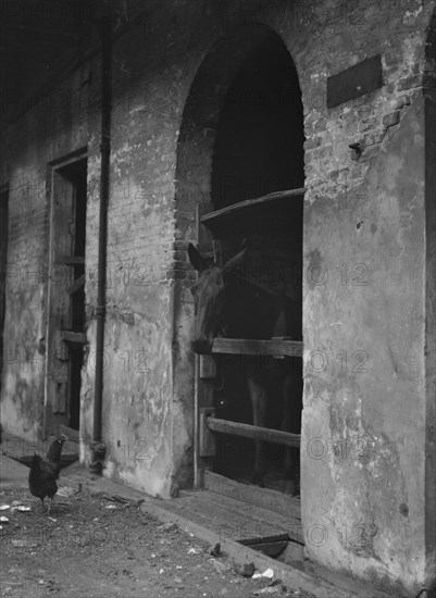 Spanish Stables, New Orleans, between 1920 and 1926. Creator: Arnold Genthe.