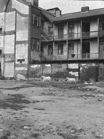 Slave quarters, New Orleans, between 1920 and 1926. Creator: Arnold Genthe.