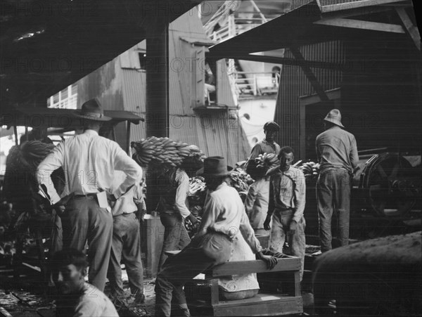 Unloading bananas, New Orleans, between 1920 and 1926. Creator: Arnold Genthe.