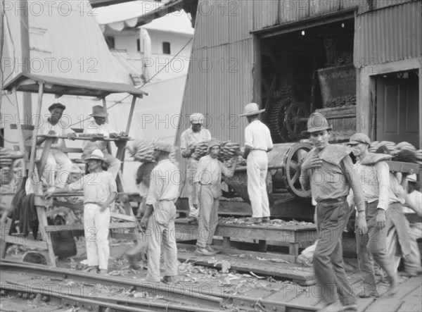 Unloading bananas, New Orleans, between 1920 and 1926. Creator: Arnold Genthe.