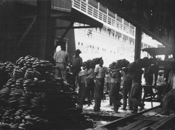 Unloading bananas, New Orleans, between 1920 and 1926. Creator: Arnold Genthe.