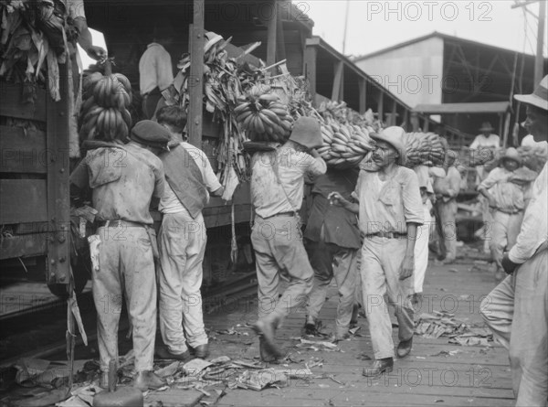 Unloading bananas, New Orleans, between 1920 and 1926. Creator: Arnold Genthe.