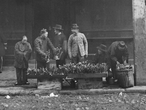 The lily vendor, Chinatown, San Francisco, between 1896 and 1906. Creator: Arnold Genthe.