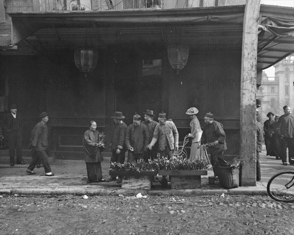 The lily vendor, Chinatown, San Francisco, between 1896 and 1906. Creator: Arnold Genthe.