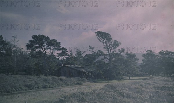 Arnold Genthe's bungalow in Carmel, California, between 1906 and 1911. Creator: Arnold Genthe.