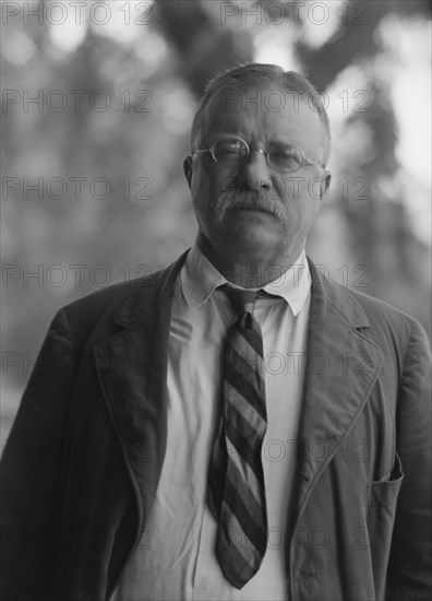 Roosevelt, Theodore, portrait photograph, 1916 Sept. 8. Creator: Arnold Genthe.