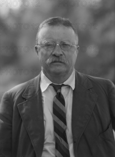 Roosevelt, Theodore, portrait photograph, 1916 Sept. 8. Creator: Arnold Genthe.