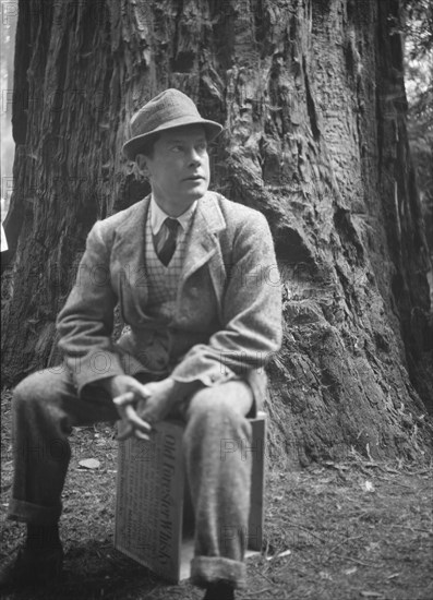 Bohemian Club Grove scene, between 1896 and 1942. Creator: Arnold Genthe.