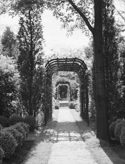 Garden, East Hampton, Long Island, between 1933 and 1942. Creator: Arnold Genthe.