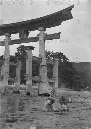 Itsukushima Shinto Shrine, Japan, 1908. Creator: Arnold Genthe.