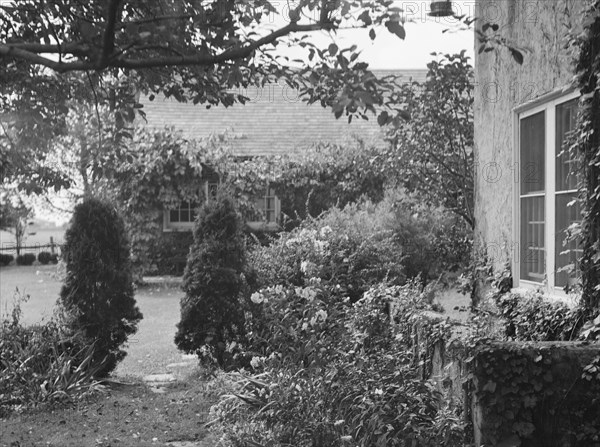 King, Hamilton, Mr., residence and garden, between 1911 and 1934. Creator: Arnold Genthe.