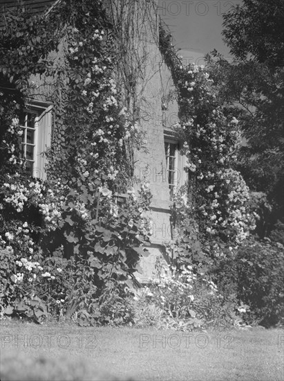 Residence of Mr. Hamilton King, 1934 July. Creator: Arnold Genthe.