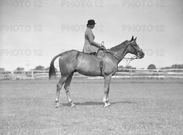 Schey, Theresa, Miss, on horse, between 1911 and 1942. Creator: Arnold Genthe.