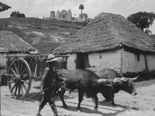 Travel views of Cuba and Guatemala, between 1899 and 1926. Creator: Arnold Genthe.