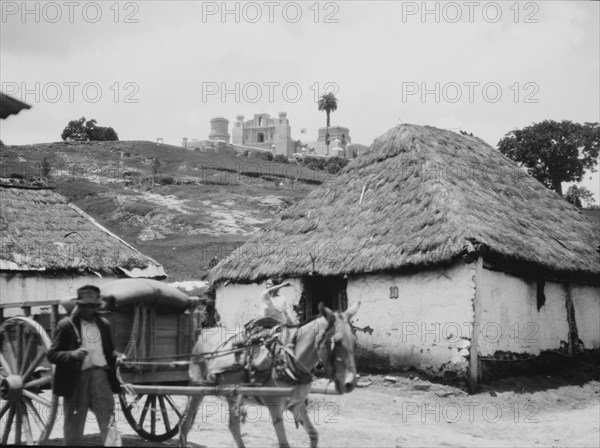 Travel views of Cuba and Guatemala, between 1899 and 1926. Creator: Arnold Genthe.