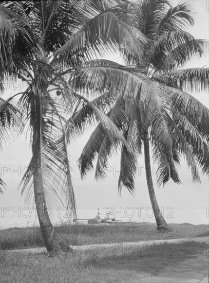 Travel views of Cuba and Guatemala, between 1899 and 1926. Creator: Arnold Genthe.