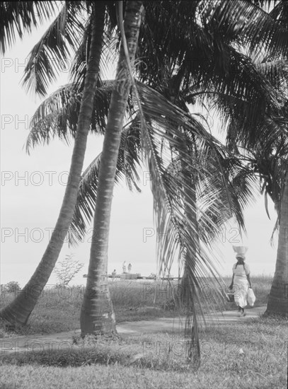 Travel views of Cuba and Guatemala, between 1899 and 1926. Creator: Arnold Genthe.