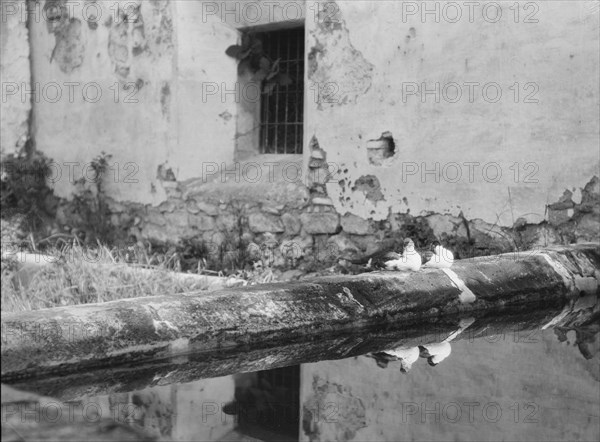 Travel views of Cuba and Guatemala, between 1899 and 1926. Creator: Arnold Genthe.