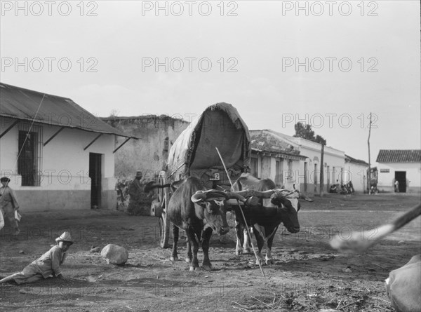 Travel views of Cuba and Guatemala, between 1899 and 1926. Creator: Arnold Genthe.