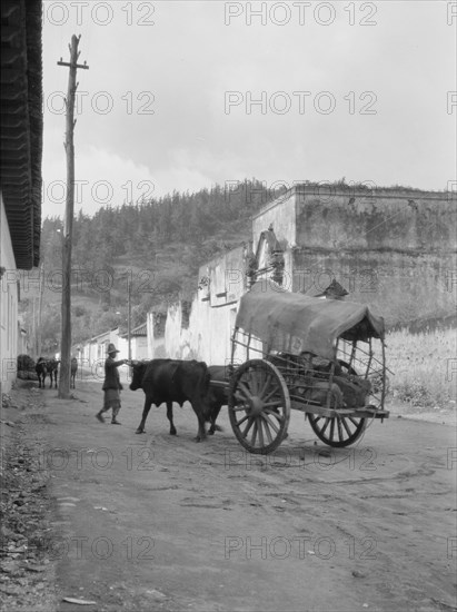 Travel views of Cuba and Guatemala, between 1899 and 1926. Creator: Arnold Genthe.