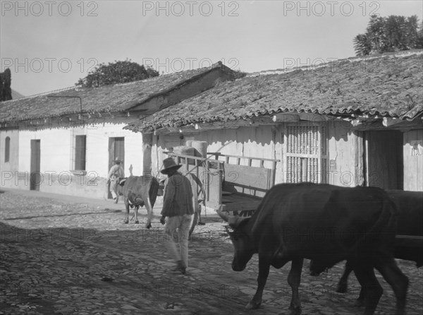 Travel views of Cuba and Guatemala, between 1899 and 1926. Creator: Arnold Genthe.