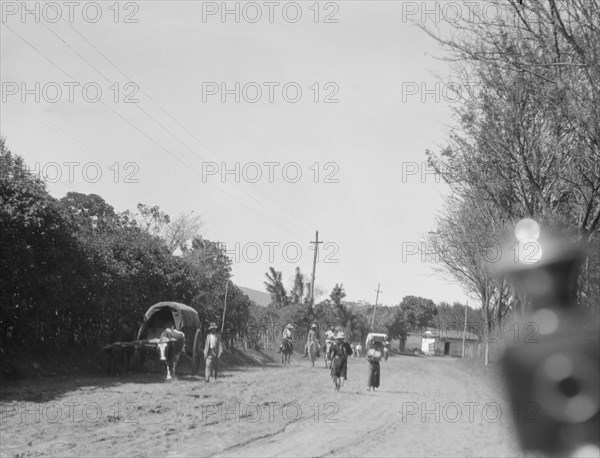 Travel views of Cuba and Guatemala, between 1899 and 1926. Creator: Arnold Genthe.