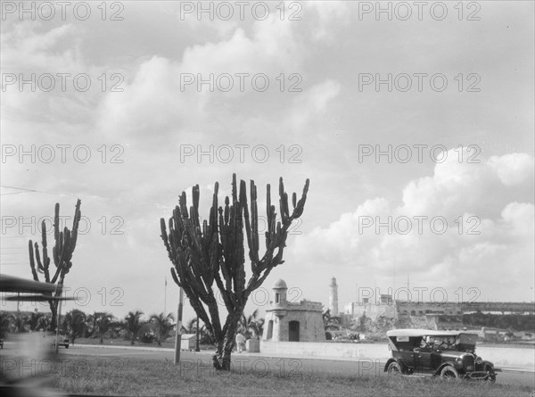 Travel views of Cuba and Guatemala, between 1899 and 1926. Creator: Arnold Genthe.