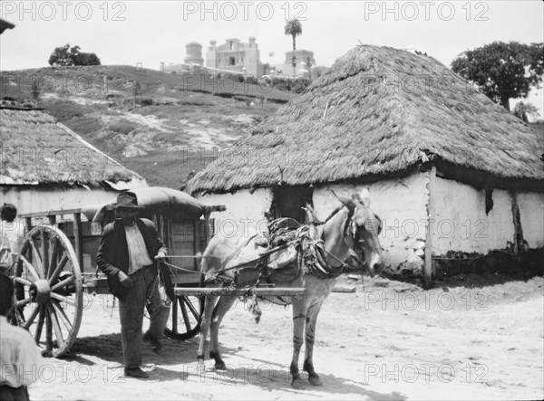 Travel views of Cuba and Guatemala, between 1899 and 1926. Creator: Arnold Genthe.