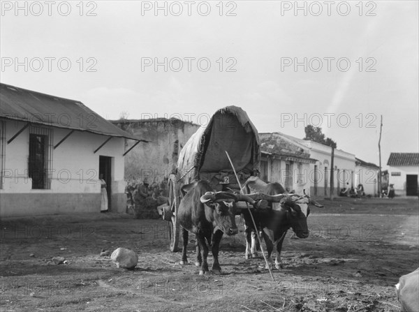 Travel views of Cuba and Guatemala, between 1899 and 1926. Creator: Arnold Genthe.