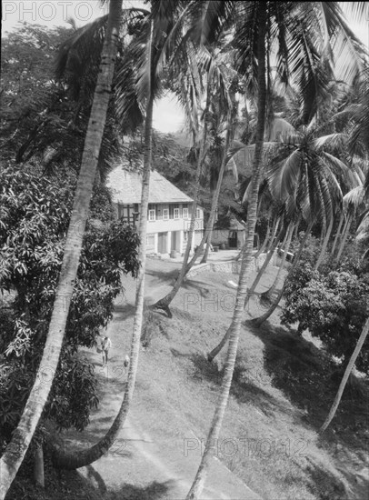 Travel views of Cuba and Guatemala, between 1899 and 1926. Creator: Arnold Genthe.