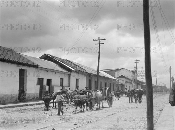 Travel views of Cuba and Guatemala, between 1899 and 1926. Creator: Arnold Genthe.