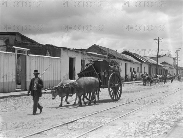 Travel views of Cuba and Guatemala, between 1899 and 1926. Creator: Arnold Genthe.