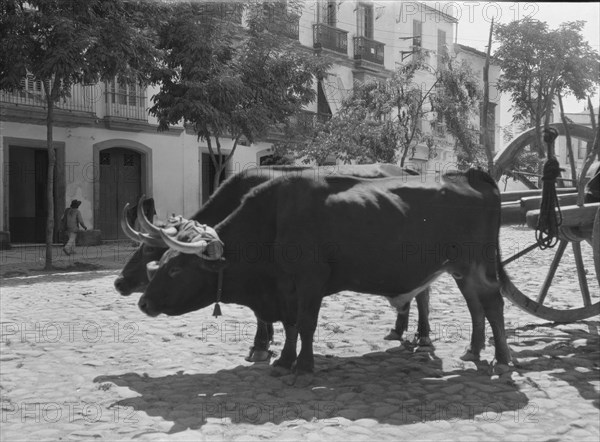 Travel views of Europe, between 1904 and 1938. Creator: Arnold Genthe.