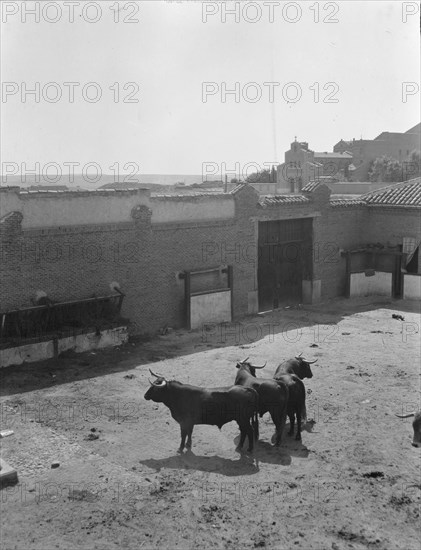 Travel views of Europe, between 1904 and 1938. Creator: Arnold Genthe.