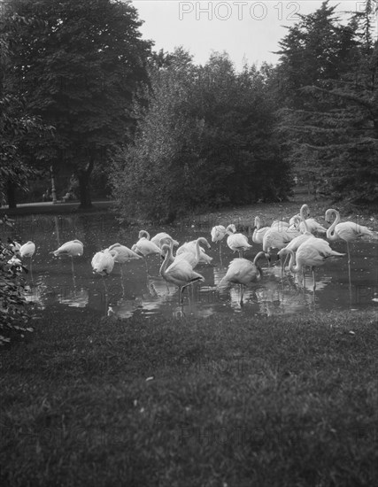 Travel views of Europe, between 1904 and 1938. Creator: Arnold Genthe.