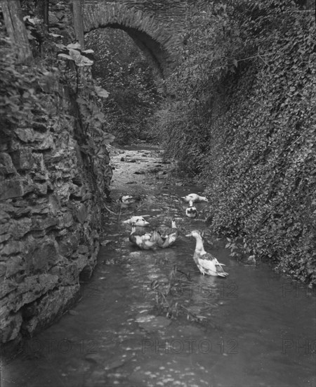 Travel views of Europe, between 1904 and 1938. Creator: Arnold Genthe.