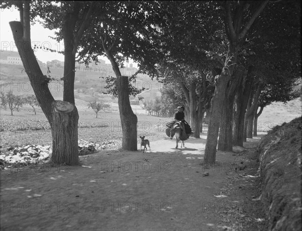 Travel views of Europe, between 1904 and 1938. Creator: Arnold Genthe.